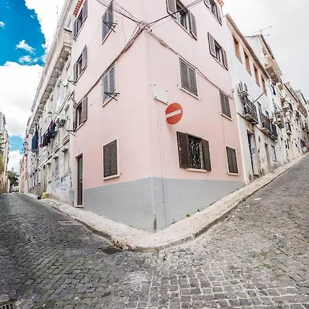 Cardal Terrace 30486al & Cardal 49618al *